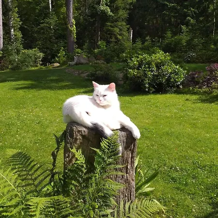 Malinka Rum i privatbostad