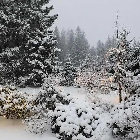 Ubytování v soukromí Malinka *