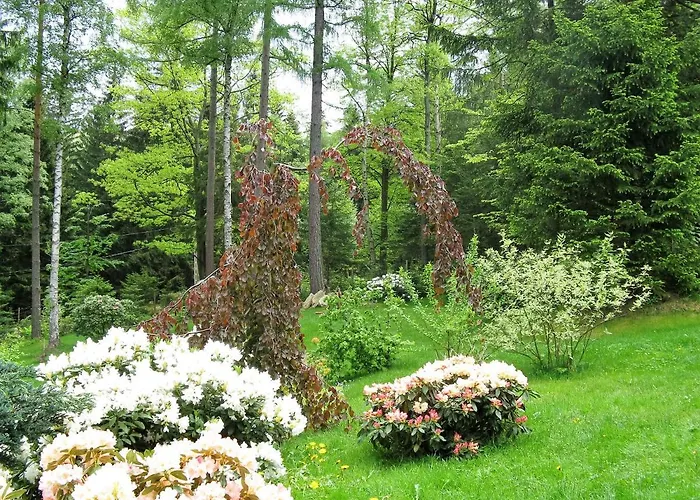 Malinka 卡尔帕奇