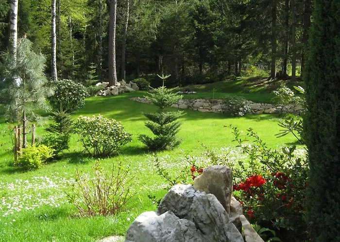 Malinka 卡尔帕奇