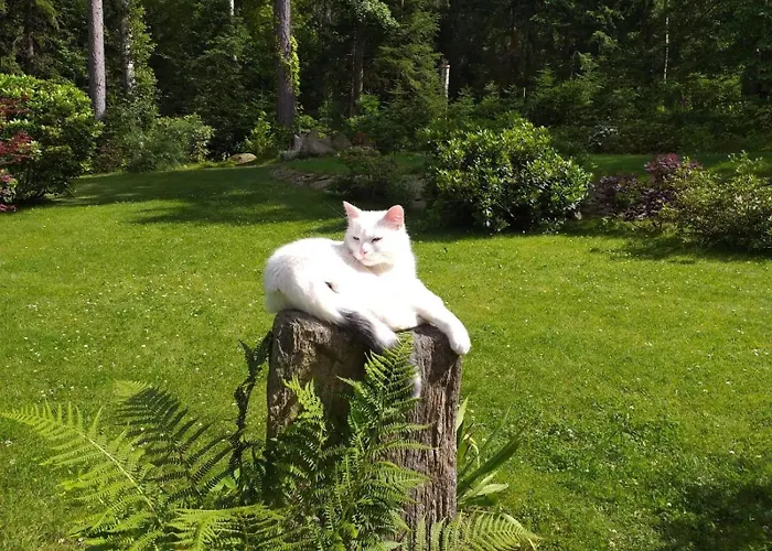 Malinka Séjour chez l'habitant